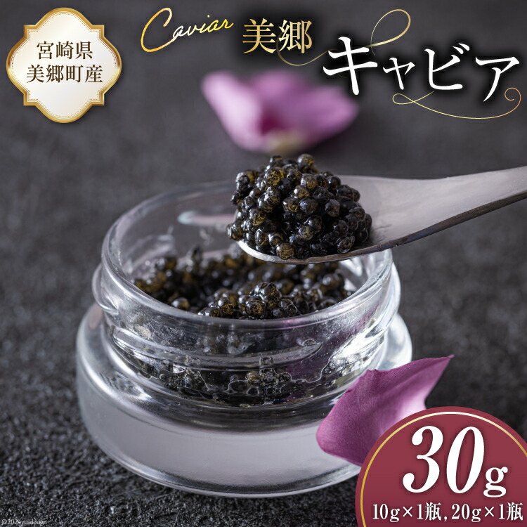 【ふるさと納税】 美郷 キャビア チョウザメ 30g [宮崎キャビア 宮崎県 美郷町 31az0012] きんかん キンカン 金柑 フレーバー 冷凍 宮崎県産
