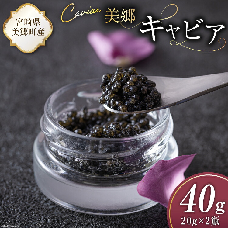【ふるさと納税】 美郷 キャビア チョウザメ 40g [宮崎キャビア 宮崎県 美郷町 31az0013] きんかん キンカン 金柑 フレーバー 冷凍 宮崎県産