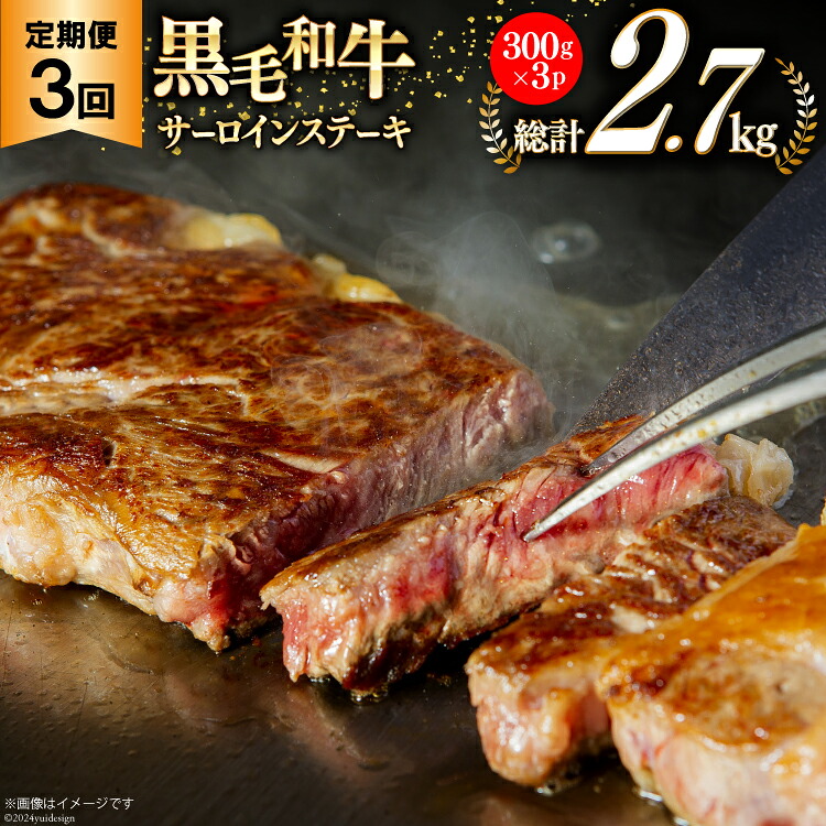 【ふるさと納税】 3回 定期便 宮崎県産 黒毛和牛 サーロイン ステーキ 300g &times;3&times;3ヶ月 合計2.7kg [サンアグリフーズ 宮崎県 美郷町 31ba0032] 小分け 冷凍 送料無料 国産 牛 肉 霜降り BBQ バーベキュー キャンプ 真空包装 スペース 収納 サシ がっつり 脂｜宮崎県美郷町