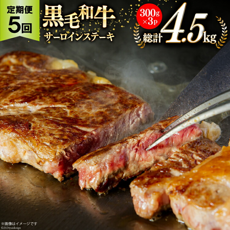【ふるさと納税】 5回 定期便 宮崎県産 黒毛和牛 サーロイン ステーキ 300g ×3×5ヶ月 合計4.5kg [サンアグリフーズ 宮崎県 美郷町 31ba0034] 小分け 冷凍 送料無料 国産 牛 肉 霜降り BBQ バーベキュー キャンプ 真空包装 スペース 収納 サシ がっつり 脂