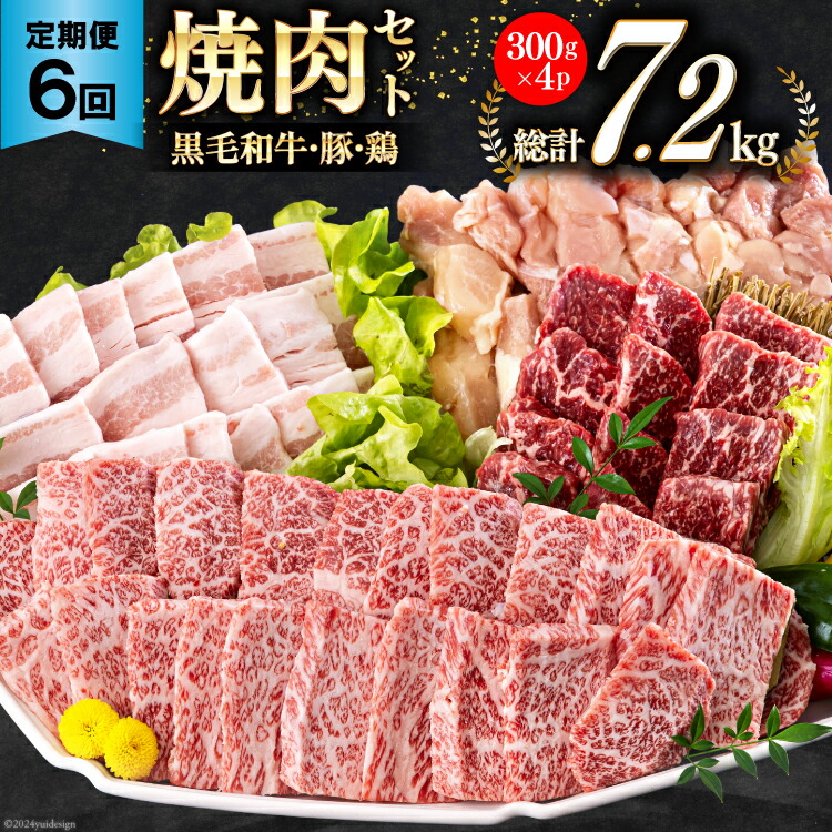 【ふるさと納税】6回 定期便 宮崎県産 焼肉 セット 黒毛和牛 モモ カルビ 豚バラ 若鶏 モモ 合計7.2kg 各300g [サンアグリフーズ 宮崎県 美郷町 31ba0039-NEW] 小分け 冷凍 送料無料 国産 BBQ バーベキュー キャンプ 普段使い 炒め物 丼 カット 詰め合わせ 経産牛