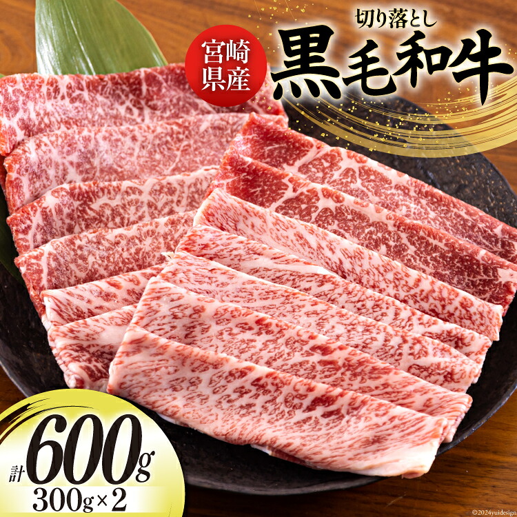 【ふるさと納税】 宮崎県産 黒毛和牛 切り落とし 300g×2 計600g [日本ハムマーケティング 宮崎県 美郷町 31bd0013-NEW] 小分け モモ カタ バラ ミックス 冷凍 送料無料 国産 牛 肉 切落し 牛丼 肉じゃが しぐれ煮 煮込み 肩 普段使い 母の日 父の日 プレゼント ギフト