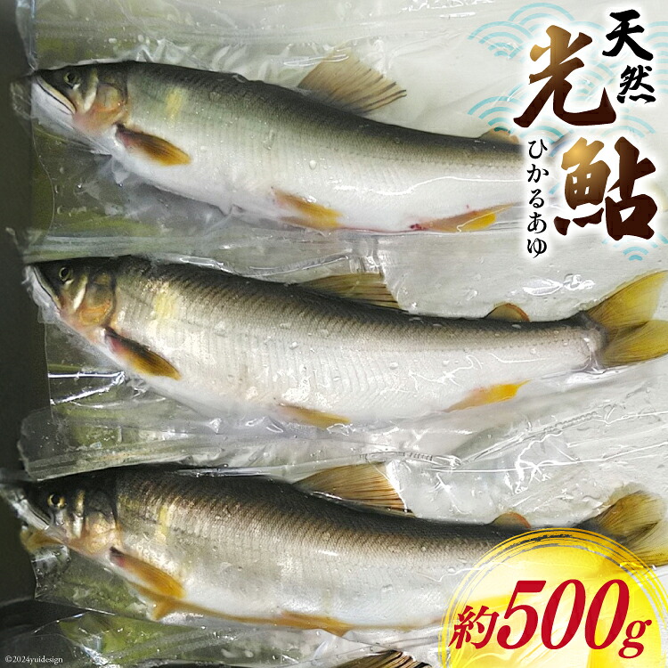 【ふるさと納税】 【数量限定】 宮崎県 美郷町 天然 鮎 約500g [小丸川天然鮎工房hikaru 宮崎県 美郷町 31af0005-NEW] 数量限定 あゆ アユ 急速 冷凍 宮崎県産 小丸川 送料無料