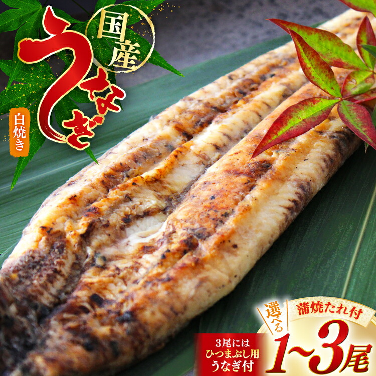 【ふるさと納税】 うなぎ 選べる 内容量 鰻 白焼き 1尾 から 3尾 たれ付き [オーチャンズ 宮崎県 美郷町 31bn0005] ウナギ 国産 蒲焼のたれ 付き タレ たれ 蒲焼 蒲焼き｜宮崎県美郷町