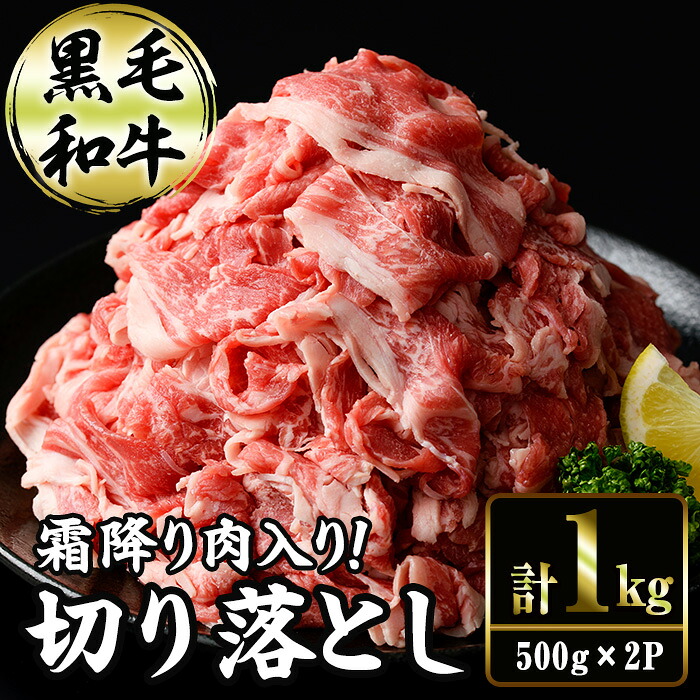 【ふるさと納税】切り落とし和牛(500g×2P) 国産 宮崎県産 黒毛和牛 牛肉 こま切れ 小間切れ 炒めもの 霜降り 和牛 【AR011】【(有)有田牧畜産業 食肉加工センター】