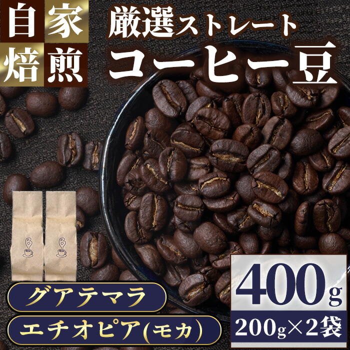 【ふるさと納税】 自家焙煎コーヒー豆　厳選ストレート2種400g（グアテマラ200g・エチオピア200g）珈琲 飲料 ドリンク  アウトドア キャンプ おうち時間 モカ【BC001】【Backrest Coffee】