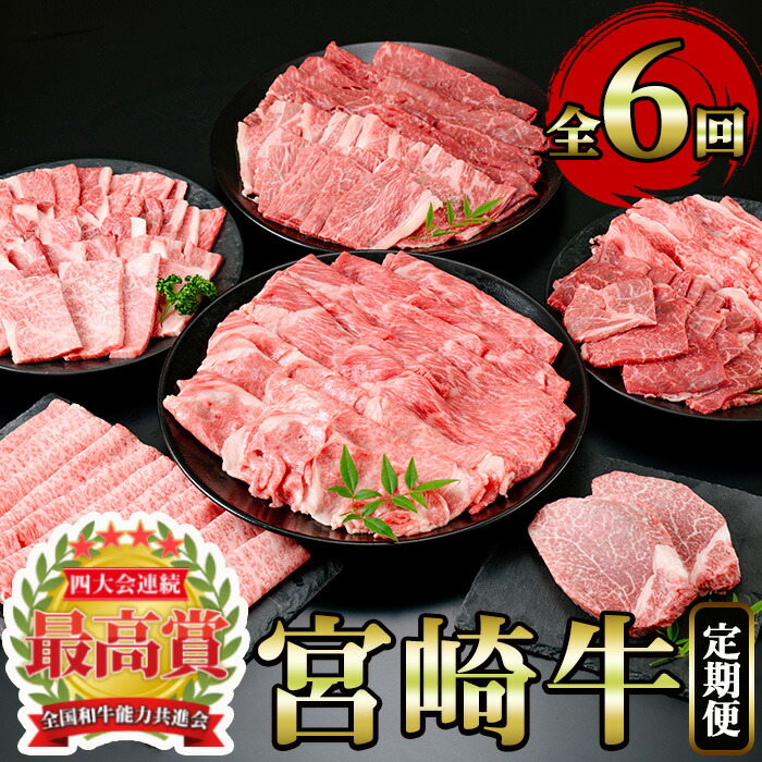 【ふるさと納税】<定期便・6回(連続)>宮崎牛・定期便B(6ヶ月)国産 宮崎県産 宮崎牛 牛肉 ステーキ 焼肉 A4 肩ロース ウデ ロース ヒレ コンシェルジュ【MI003】【(株)ミヤチク宮崎加工センター】