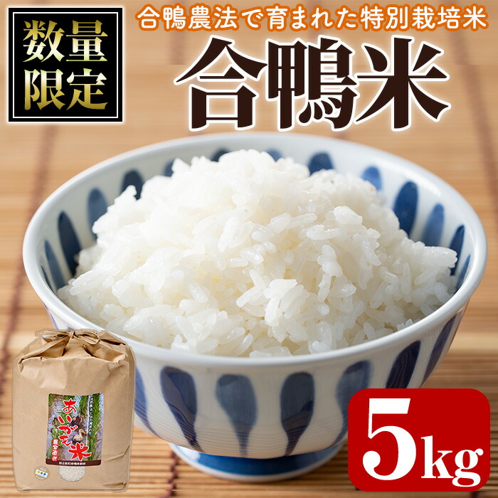 モモタ　お米　令和2年　愛媛県産あきたこまち　白米　20㎏ モモタ様専用 お米 令和2年 愛媛県産あきたこまち 白米 20㎏（お