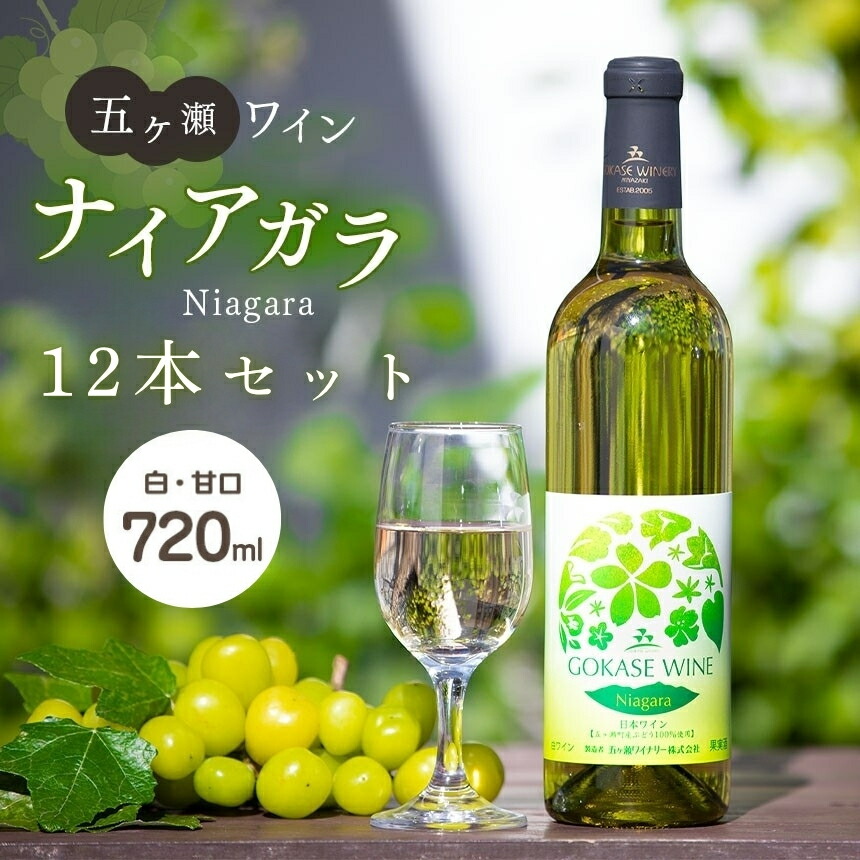 【ふるさと納税】 五ヶ瀬ワイン ナイアガラ （ 白 ・ 甘口 ） 720ml 12本 セット | 五ケ瀬ワイナリー 宮崎県 五ヶ瀬町 ワイン 白ワイン １ダース ナイアガラ 国産 宮崎 五ヶ瀬町 五ヶ瀬町産ぶどう１００％