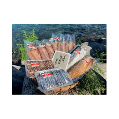 【ふるさと納税】甑島の天日干しセット【配送不可地域:離島】【1743041】|鹿児島県