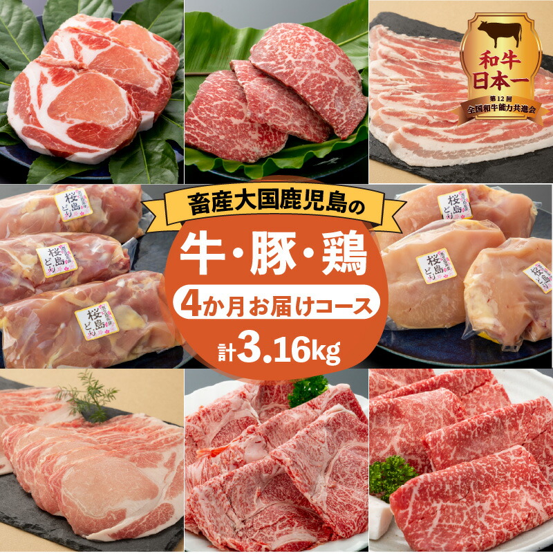 【ふるさと納税】和牛日本一！【 岩元精肉店 】先行予約 定期便 厳選 4か月 お届け コース 計3.16kg セット バラエティ 肉 精肉 牛 豚 鶏 黒毛和牛 黒豚 桜島どり ステーキ ロース モモ むね バラ 鹿児島 おすすめ ランキング プレゼント ギフト