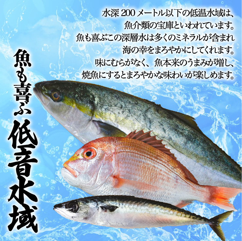 最大92 オフ こしき海洋深層水仕立て 塩干物詰合せ A ひもの さば あじ きびなご とびうお ちこ鯛 焼くだけ Fucoa Cl