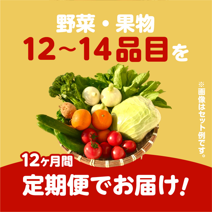 ふるさと納税 雲仙市 雲仙の野菜 16品目以上 フルーツ・キノコ付きの