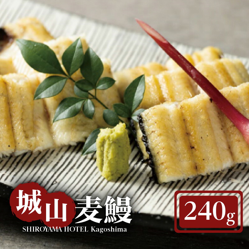 【ふるさと納税】SHIROYAMA HOTEL kagoshima 城山麦鰻 鹿児島県 大隅産 麦鰻 鰻 ブランド鰻 養殖 贅沢 肉厚 ふっくら 白焼き 魚 魚介誕生日 記念日 お祝い 贈り物 贈りもの 贈答品 鹿児島 おすすめ ランキング プレゼント ギフト｜鹿児島県鹿児島市 18,460円