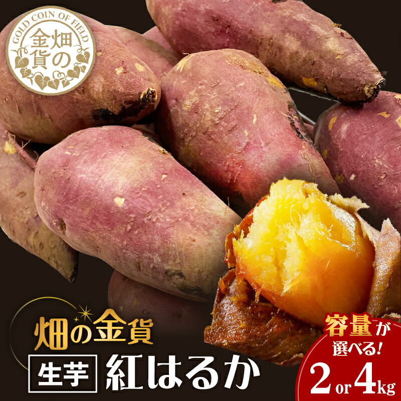 【ふるさと納税】 畑の金貨 生芋 紅はるか 容量が選べる 2kg or 4kg 送料無料 さつまいも 生 芋 野菜 長期 熟成 ねっとり しっとり 甘い 焼き芋 焼芋 天ぷら スイートポテト 大学芋 料理 加治木産業 甘いも 甘芋 鹿児島市 土産 贈り物 プレゼント ギフト 贈答