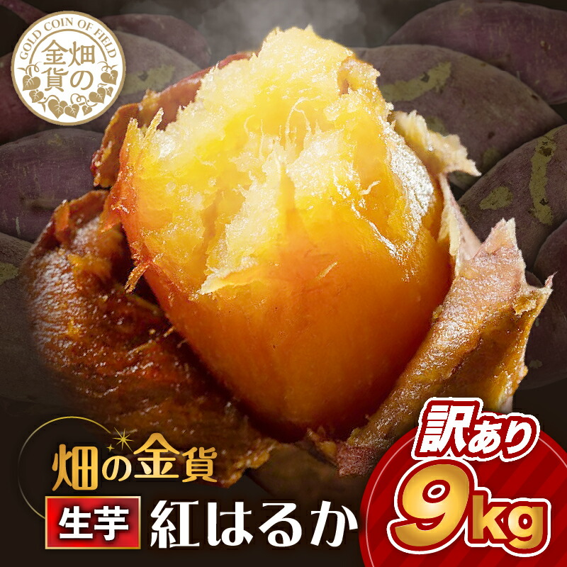 【ふるさと納税】 畑の金貨 生芋 訳あり 紅はるか 9kg わけあり 限定 規格外 野菜 さつまいも さつま芋 芋 焼き芋 スイーツ スイートポテト 大学芋 料理 大容量 産地直送 熟成 甘いも 甘芋 加治木産業 鹿児島 おすすめ ランキング プレゼント ギフト