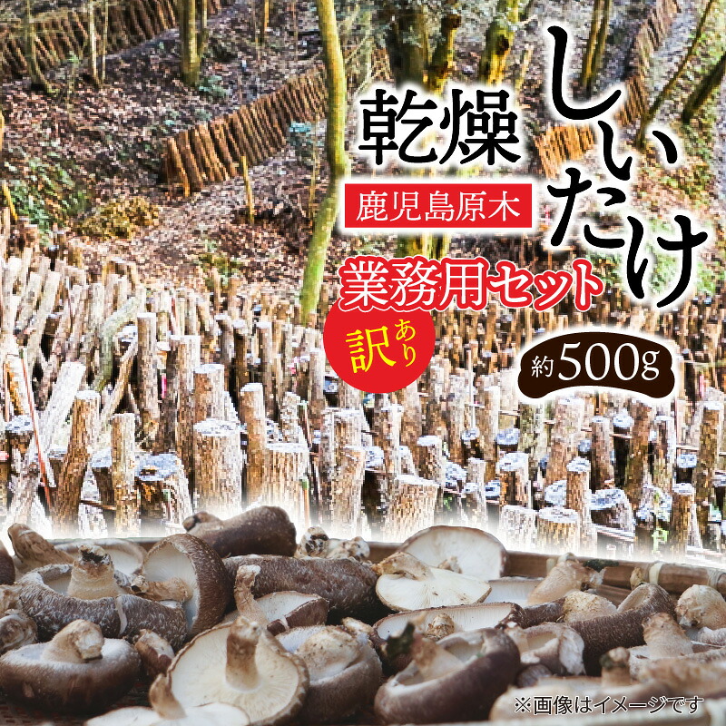 【ふるさと納税】【訳あり】鹿児島原木 乾燥しいたけ お得 セット 約500g しいたけ 肉厚 椎茸 きのこ 野菜 肉厚椎茸 炊き込みご飯 角煮 タコス 美味しい プラナート 鹿児島 おすすめ ランキング プレゼント ギフト|鹿児島県鹿児島市