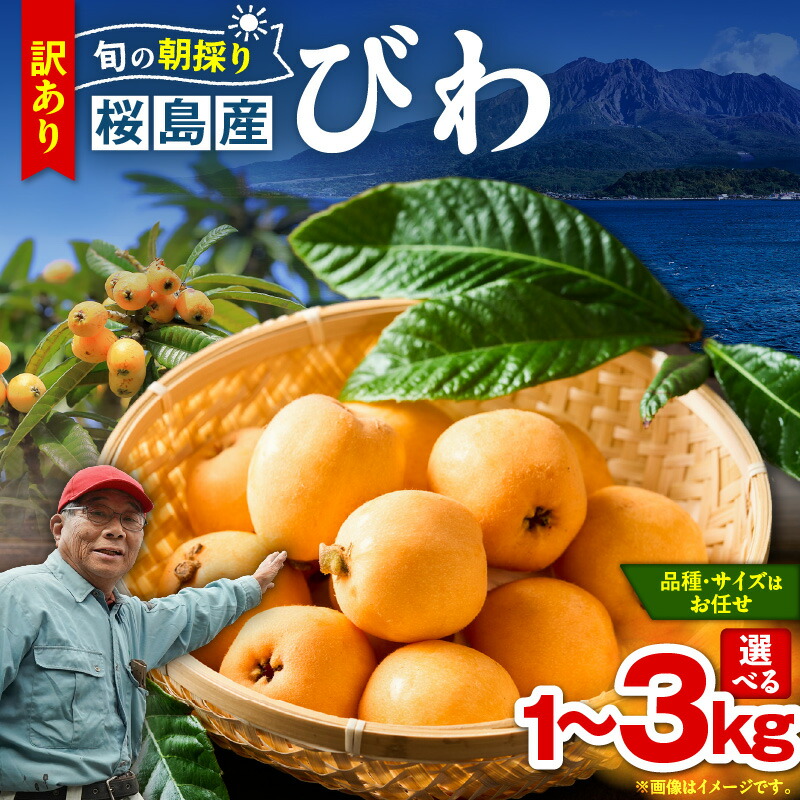 楽天市場】【ふるさと納税】【期間限定】【訳あり】＜選べる＞旬の朝