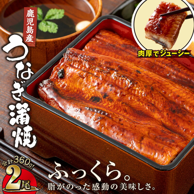 【楽天市場】【ふるさと納税】鹿児島産 うなぎ 170g×2尾 合計340g ウナギ 蒲焼き 養殖 たれ付 真空パック 湯煎 レンジ 簡単調理 国産  鹿児島県 【財宝】 : 鹿児島県鹿屋市