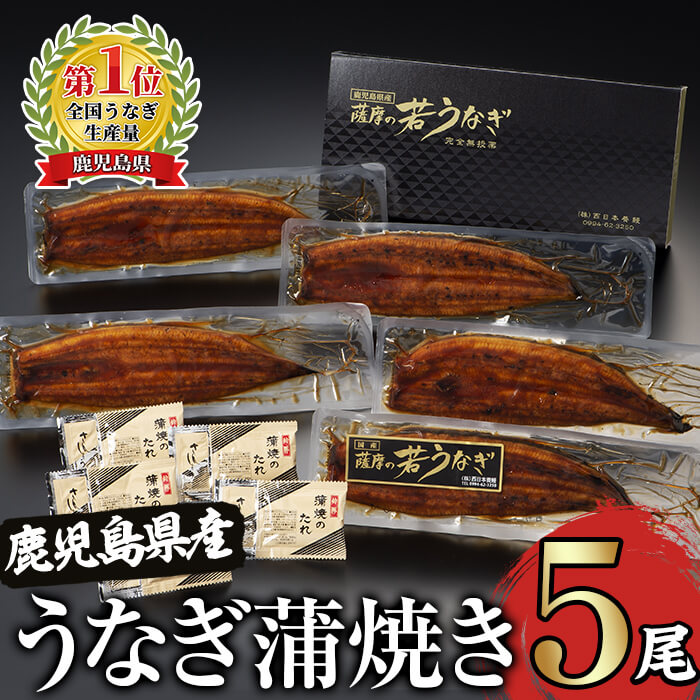 ふるさと納税 鹿児島県大隅産 うなぎの蒲焼き5尾 計680g 136g 5尾 うなぎのたれ 山椒付き 無投薬にこだわり 西日本養鰻 Ice Org Br