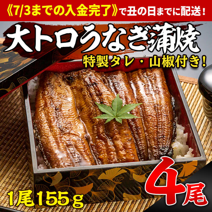 市場 ふるさと納税 特製タレ付き 備長炭手焼 黒匠うなぎ と 5尾セット 鯉家匠うなぎ 計600g 国産 の蒲焼