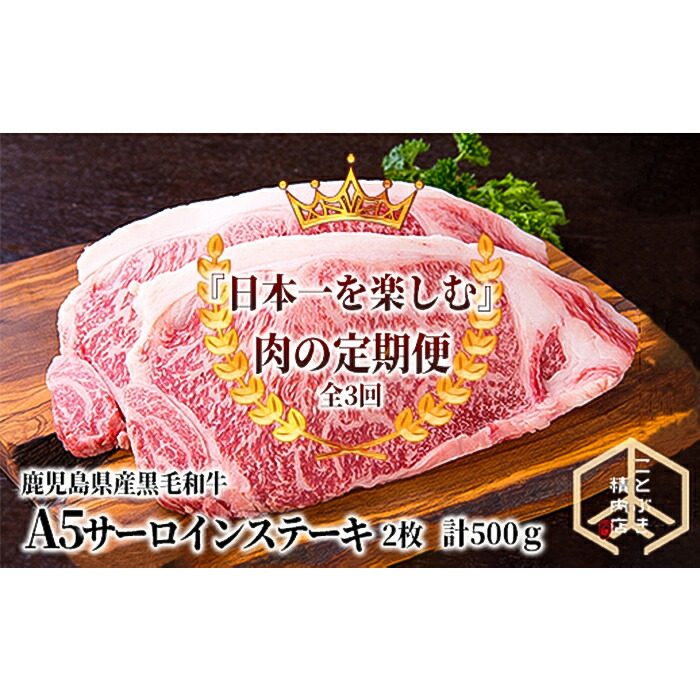 即納】 日本一を楽しむ鹿児島県産黒毛和牛A5サーロインステーキ定期便 計1.5kg 鹿児島県産黒毛和牛A5ランクサーロインステーキ 500g  250g×2枚 ×3回 fucoa.cl