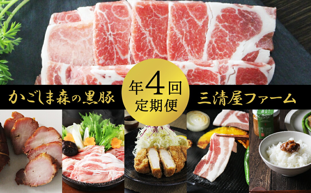 注目 三清屋ファームがお届けする かごしま森の黒豚 定期便