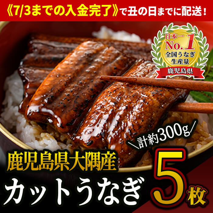 13000円 【63%OFF!】 ふるさと納税 1387 大隅特産うなぎ蒲焼３尾 510ｇ 鹿児島