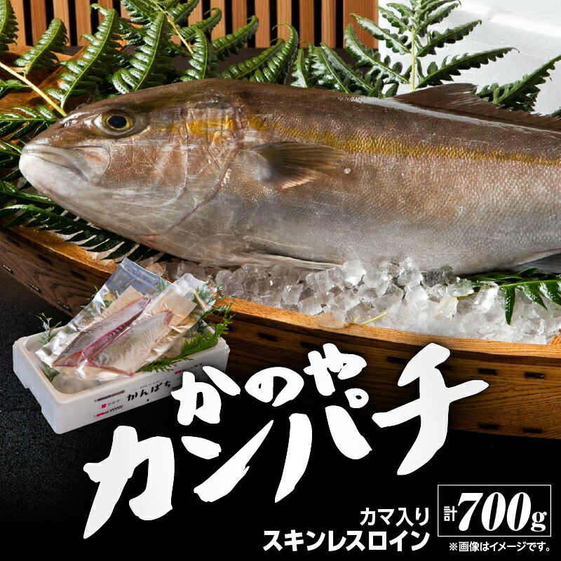 【楽天市場】【ふるさと納税】かのやカンパチロイン(カマ入)合計800g(かんぱち スキンレスロイン(骨・皮なし)2柵 合計700g、かんぱち カマ 100g×1個) 鹿児島県産 国産 かんぱち カンパチ【鹿屋市漁業協同組合】:鹿児島県鹿屋市