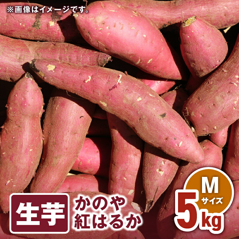 【ふるさと納税】 「かのや紅はるか」生芋 Mサイズ 5kg（1個当たり約130g～200g、約31個前後） 定められた栽培基準等をクリアした濃厚でしっとりとした食感の紅はるか【さつまいも特集】【有限会社南橋商事】