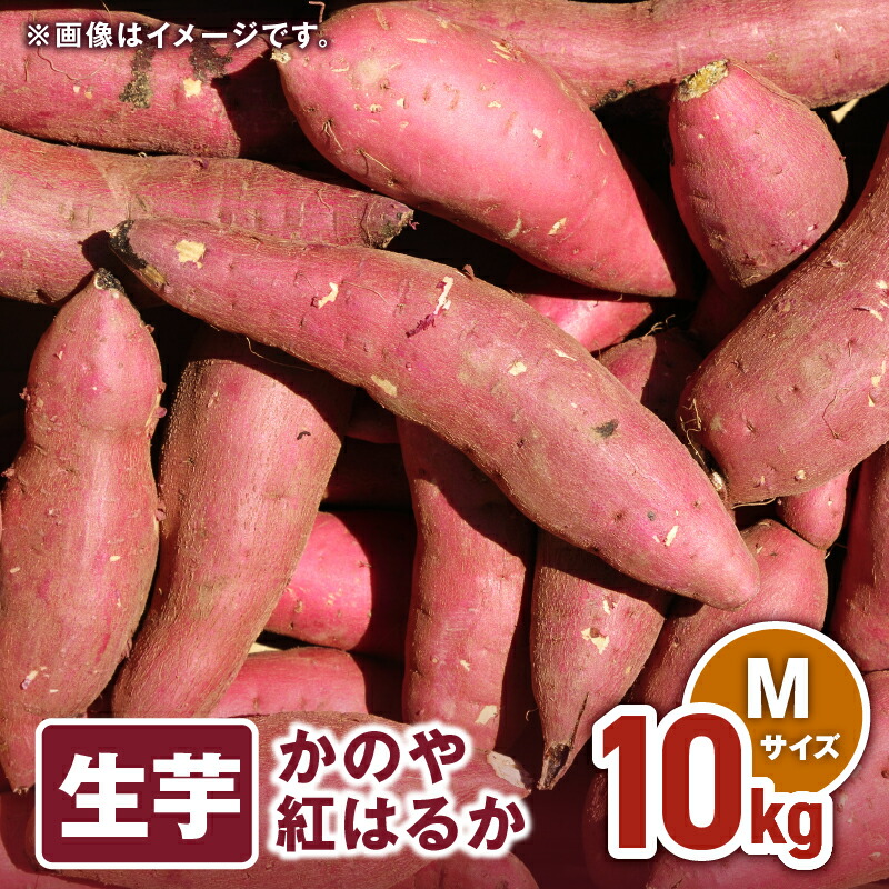 【ふるさと納税】 「かのや紅はるか」生芋 Mサイズ 10kg（1個当たり約130g～200g、約62個前後） 定められた栽培基準等をクリアした濃厚でしっとりとした食感の紅はるか【さつまいも特集】【有限会社南橋商事】