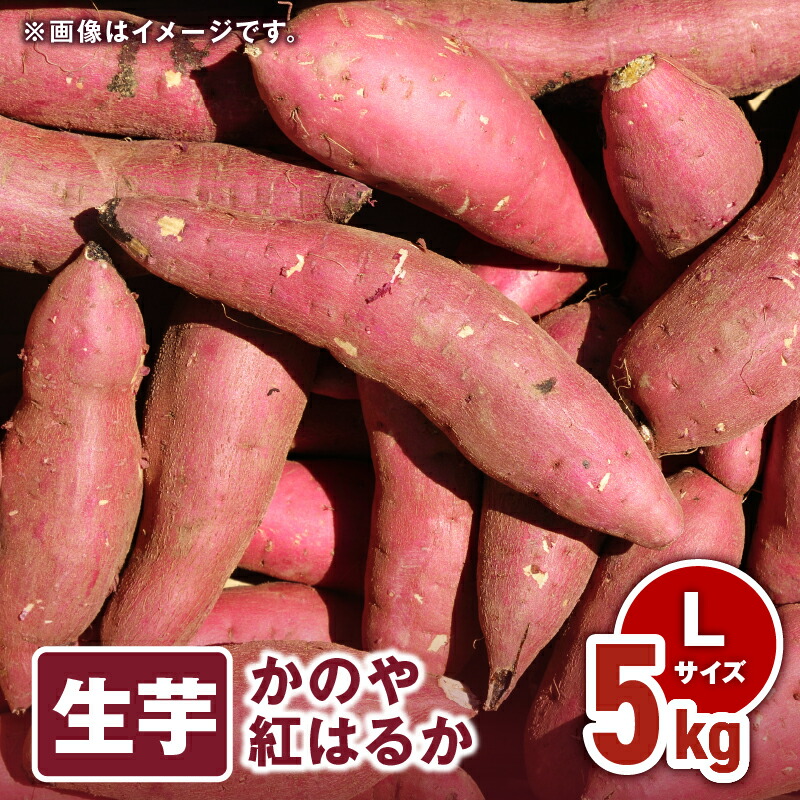 【ふるさと納税】 「かのや紅はるか」生芋 Lサイズ 5kg（1個当たり約200g～340g、約20個前後） 定められた栽培基準等をクリアした濃厚でしっとりとした食感の紅はるか【さつまいも特集】【有限会社南橋商事】
