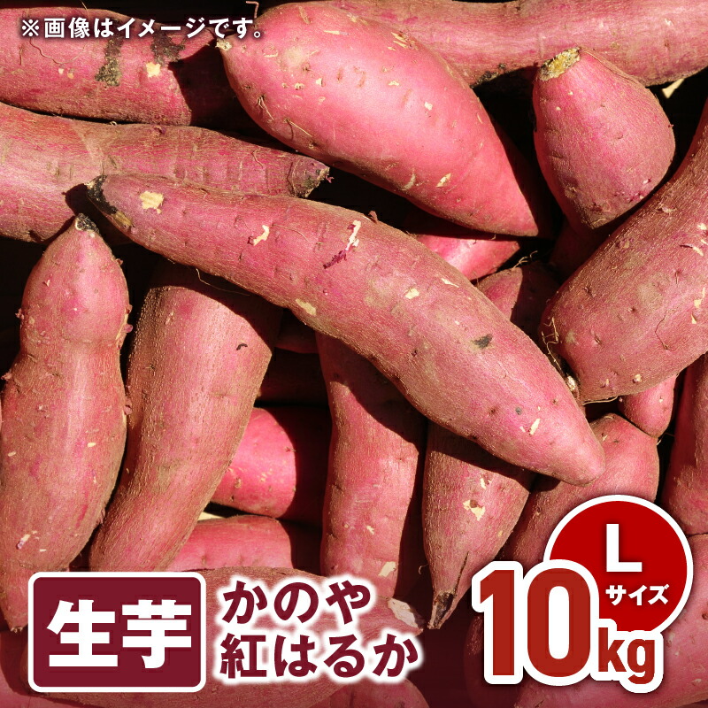 【ふるさと納税】 「かのや紅はるか」生芋 Lサイズ 10kg（1個当たり約200g～340g、約40個前後） 定められた栽培基準等をクリアした濃厚でしっとりとした食感の紅はるか【さつまいも特集】【有限会社南橋商事】