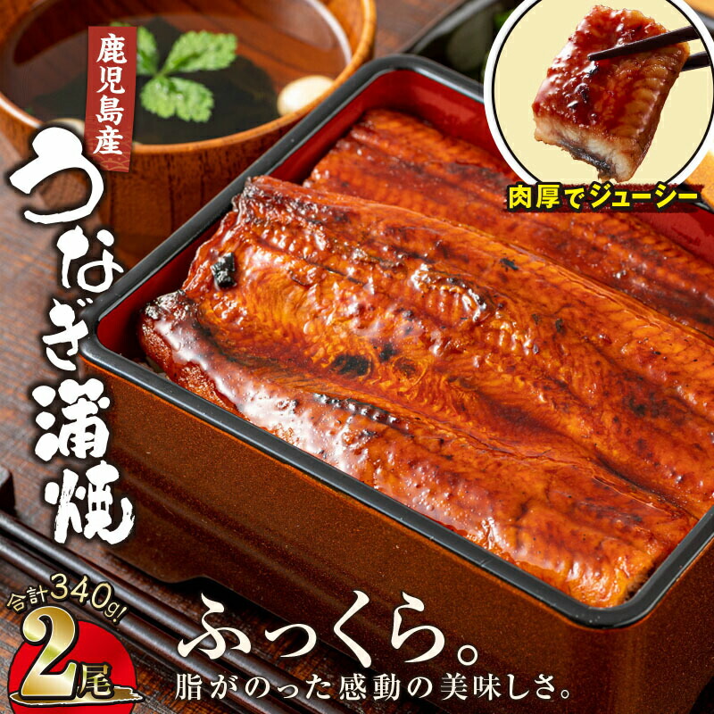 【ふるさと納税】【土用の丑の日特集】鹿児島産 うなぎ 170g×2尾 合計340g ウナギ 蒲焼き 養殖 たれ付 真空パック 湯煎 レンジ 簡単調理 国産 鹿児島県 【財宝】