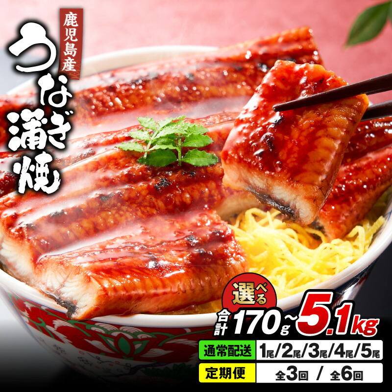 【ふるさと納税】【土用の丑の日特集】＜選べる容量・回数＞ 鹿児島産 うなぎ 170g&times;1尾～5尾 合計170g～5.1kg 清らかな地下水育ち！ 定期便 ウナギ 蒲焼き 養殖 たれ付 真空パック 湯煎 レンジ 簡単調理 国産 鹿児島県 【財宝】｜鹿児島県鹿屋市