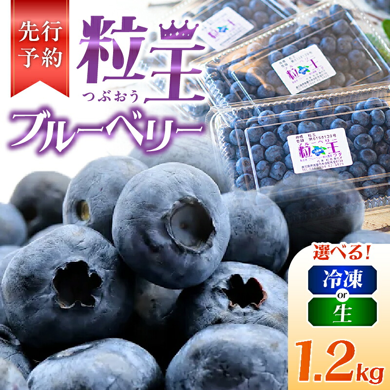 【ふるさと納税】【先行予約】<選べる種類> 粒王 ブルーベリー 1.2kg 冷凍 or 生 400g × 3P 粒が大きいものを厳選 ブルーベリー 果物 果実 フルーツ 大粒 おいしい ブルーベリー観光農園ワダ ふるさと納税 鹿児島 鹿屋市 おすすめ ランキング プレゼント ギフト|鹿児島県鹿屋市