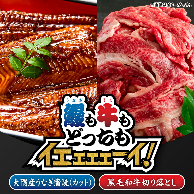 【ふるさと納税】【新聞広告大賞受賞記念】【鰻も牛もどっちもイエェェェーイ！7】鹿児島県大隅産「カット」うなぎ蒲焼80g×2枚 最高級A5・黒毛和牛切り落とし300g うなぎ 鰻 蒲焼 土用の丑 肉 nixy 中山亭 うしの中山 鹿児島 鹿屋市 おすすめ ランキング プレゼント ギフト