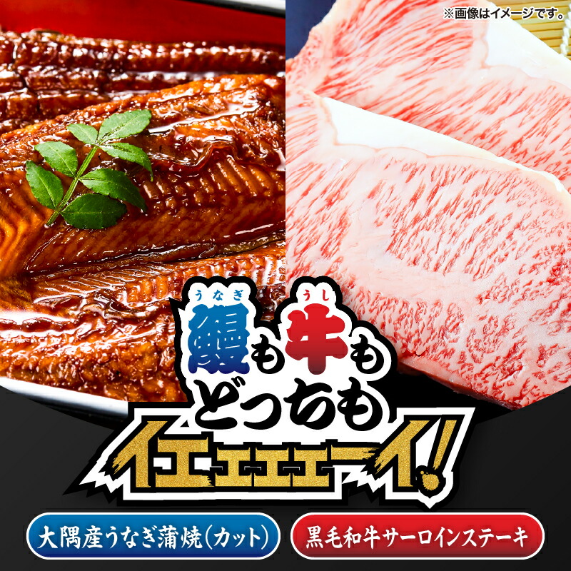 【ふるさと納税】【新聞広告大賞受賞記念】【鰻も牛もどっちもイエェェェーイ！5】鹿児島県大隅産「カット」うなぎ蒲焼80g×1枚 うしの中山 サーロインステーキ200g うなぎ 鰻 蒲焼 土用の丑 肉 nixy 中山亭 鹿児島 鹿屋市 おすすめ ランキング プレゼント ギフト