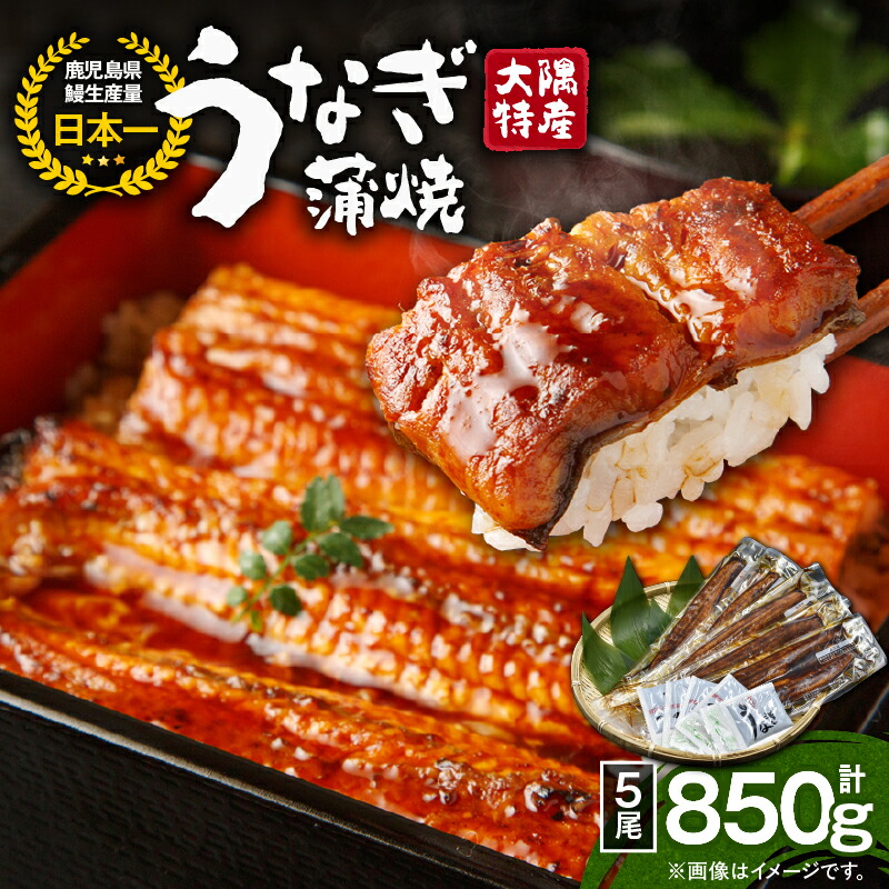【ふるさと納税】【土用の丑の日特集】＜国産＞ 大隅特産うなぎ蒲焼(5尾・計850g)たれ・山椒付き！湯煎または電子レンジで温めるだけでうなぎ本来の美味しさを味わえます！【株式会社寺園商店】