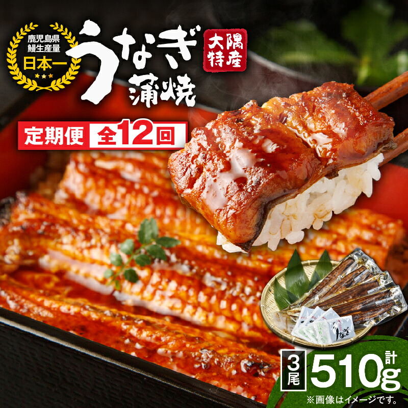 【ふるさと納税】【定期便12回】大隅特産うなぎ蒲焼３尾（510g）×12回 合計36尾 計6.12kg 【国産】たれ付 真空パック 湯煎 レンジ 簡単調理 国産 国産うなぎ 定期 うなぎ蒲焼 小分け 定期便 鹿児島県 鹿屋市 コンシェルジュ【寺園商店】