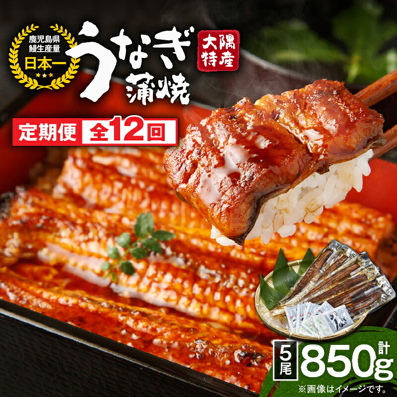 【ふるさと納税】【定期便12回】大隅特産うなぎ蒲焼５尾（850g）【国産】 たれ付 真空パック 湯煎 レンジ 簡単調理 国産 国産うなぎ 定期 うなぎ蒲焼 小分け 定期便 鹿児島県 鹿屋市 コンシェルジュ【寺園商店】 の商品写真