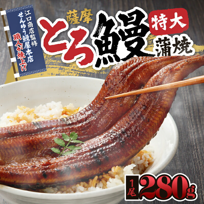 【ふるさと納税】【土用の丑の日特集】【江口商店監修】薩摩とろ鰻蒲焼特大サイズ一尾 280g 国産ウナギ 冷凍 たれ付 山椒付き 鰻かばやき うなぎ蒲焼 鹿屋市 鹿児島県産 【志】|鹿児島県鹿屋市