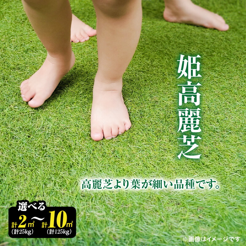 2026年 丑の日は“ウナギの発祥地”鹿屋市のふるさと納税で！