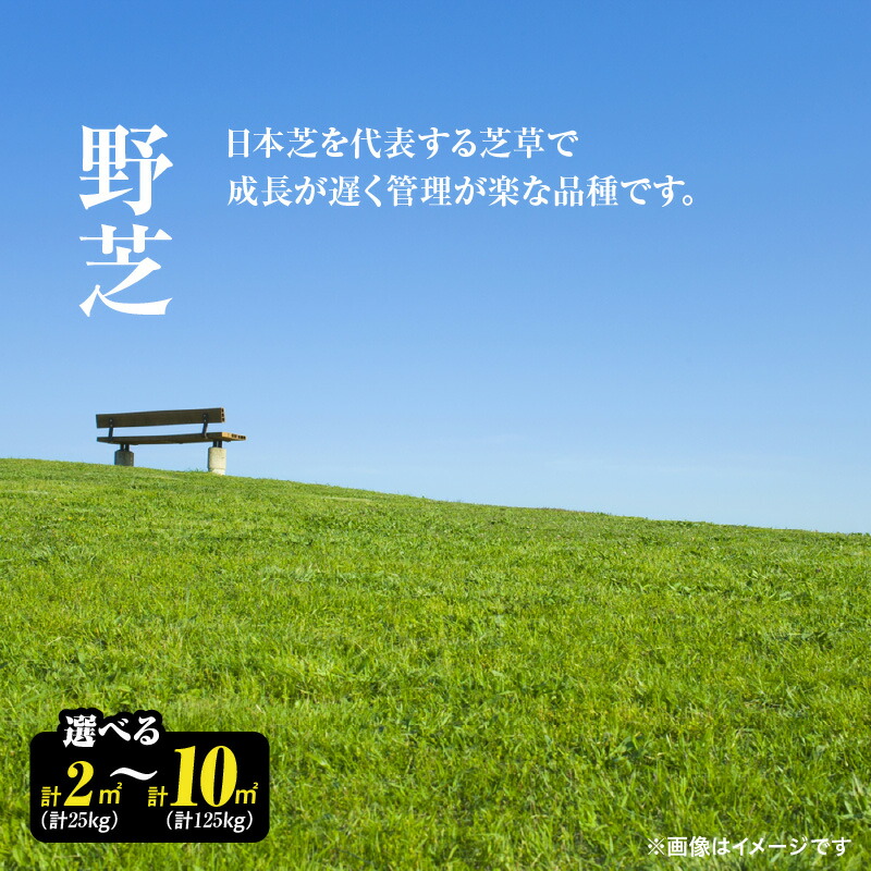 2026年 丑の日は“ウナギの発祥地”鹿屋市のふるさと納税で！