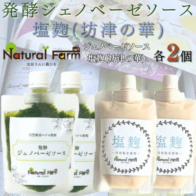 【ふるさと納税】発酵ジェノベーゼソース&塩麹　各2パックセット A8-114【配送不可地域：離島】【1619068】