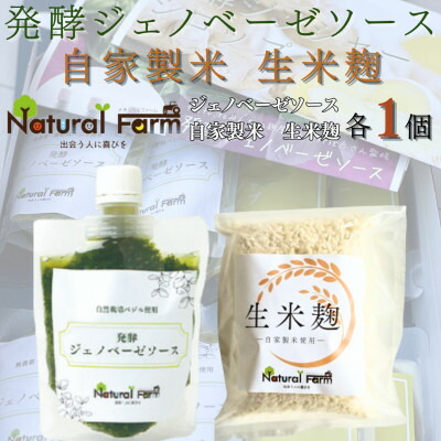 【ふるさと納税】発酵ジェノベーゼソース&生米麹　各1パックセット A0-71【配送不可地域：離島】【1619109】