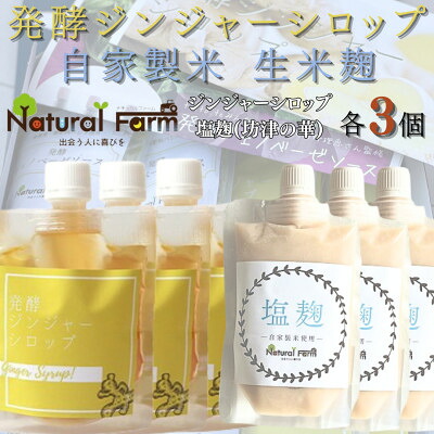 【ふるさと納税】発酵ジンジャーシロップ&塩麹　各3パックセット B8-25【配送不可地域：離島】【1619415】