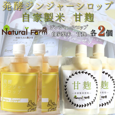 【ふるさと納税】発酵ジンジャーシロップ&甘麹 各2パックセット B0-12【配送不可地域:離島】【1619453】|鹿児島県枕崎市