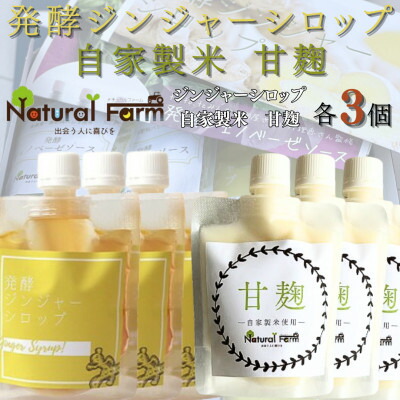 【ふるさと納税】発酵ジンジャーシロップ&甘麹　各3パックセット B7-3【配送不可地域：離島】【1619473】