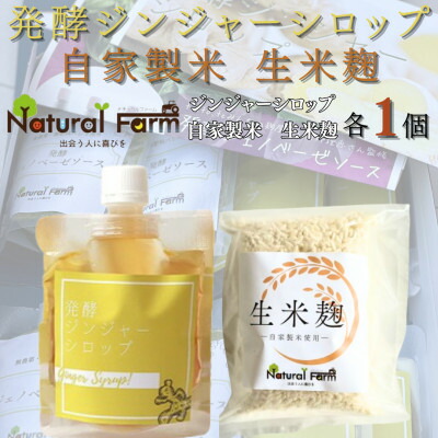 【ふるさと納税】発酵ジンジャーシロップ&生米麹　各1パックセット A1-9【配送不可地域：離島】【1619479】